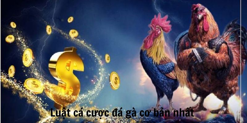 Luật chơi cá cược đá gà cần biết