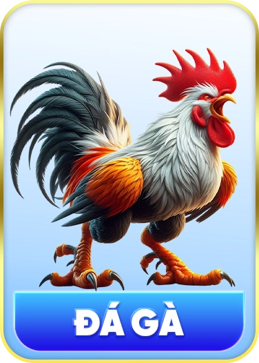 icon đá gà